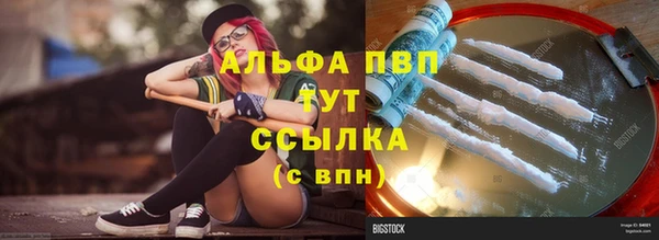 гашик Белокуриха