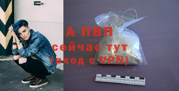 гашик Белокуриха