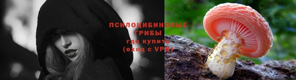 гашик Белокуриха