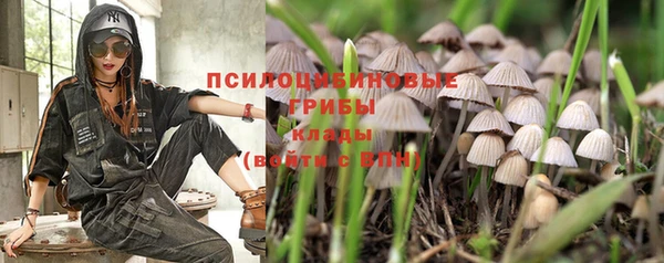 гашик Белокуриха